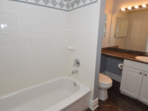1 Bedroom apartment for rent in TORONTO