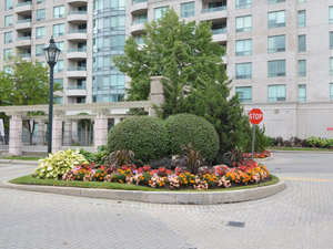 2 Bedroom apartment for rent in SCARBOROUGH    