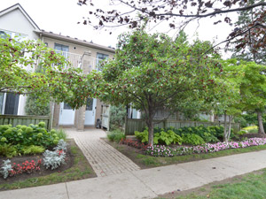 2 Bedroom apartment for rent in SCARBOROUGH    