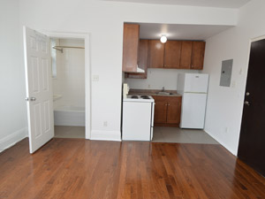 1 Bedroom apartment for rent in TORONTO