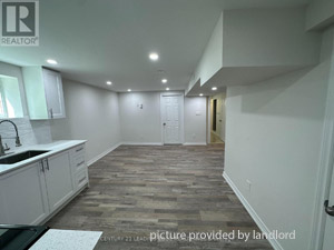 Image ViT 250304