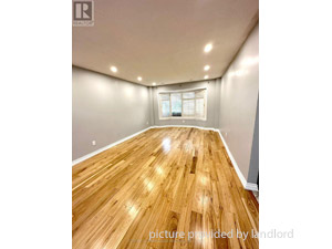3+ Bedroom apartment for rent in Scarborough    