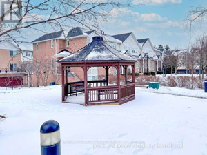 3+ Bedroom apartment for rent in Scarborough    