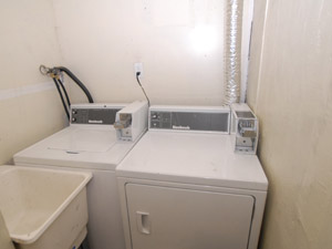 Bachelor apartment for rent in NORTH YORK 
