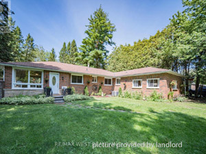 1 Bedroom apartment for rent in Georgina  