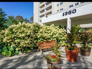 2 Bedroom apartment for rent in NORTH YORK    