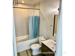 Room / Shared apartment for rent in Toronto 
