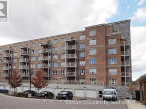 1 Bedroom apartment for rent in Cambridge 