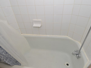 2 Bedroom apartment for rent in TORONTO