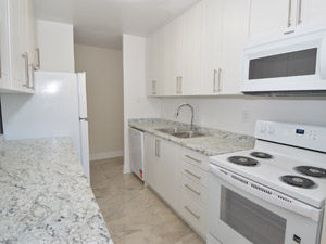2 Bedroom apartment for rent in NORTH YORK 