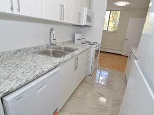 2 Bedroom apartment for rent in NORTH YORK 