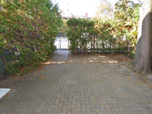 3+ Bedroom apartment for rent in NORTH YORK 