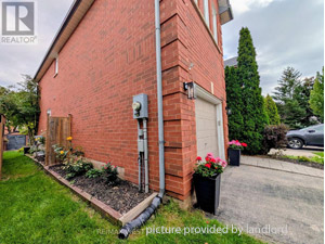3+ Bedroom apartment for rent in Oakville 