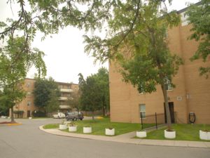 Rental Low-rise 1875 Steeles Ave W, North York, ON