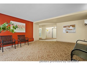 3+ Bedroom apartment for rent in NORTH YORK