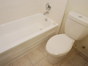 3+ Bedroom apartment for rent in NORTH YORK 