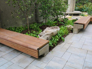 Bachelor apartment for rent in NORTH YORK 