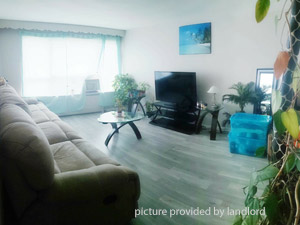 3+ Bedroom apartment for rent in York