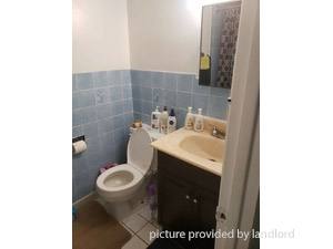 3+ Bedroom apartment for rent in York