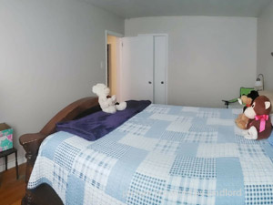 3+ Bedroom apartment for rent in York