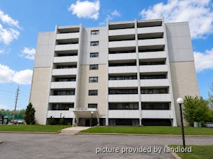 Image ViT 28684