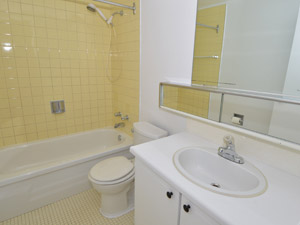 1 Bedroom apartment for rent in Brampton
