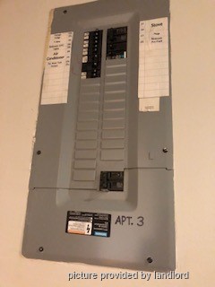 1 Bedroom apartment for rent in HAMILTON 