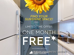 Image ViT 29498