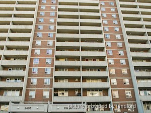 Image ViT 2959