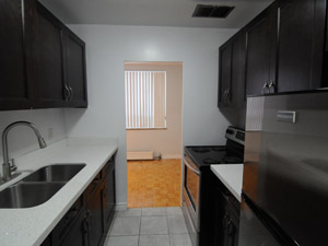 1 Bedroom apartment for rent in North York