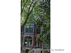 Image ViT 31062
