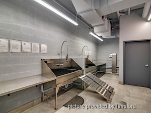 Bachelor apartment for rent in TORONTO      