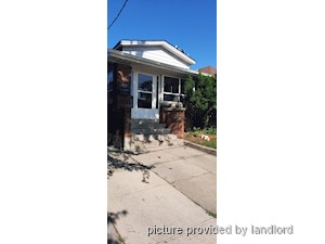 Image ViT 32144