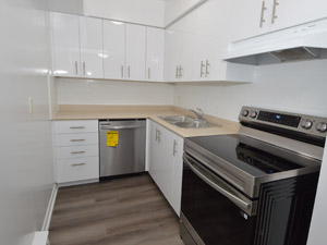 2 Bedroom apartment for rent in Etobicoke