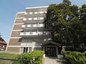 Image ViT 3687