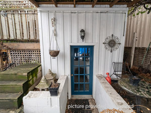 Image ViT 3925