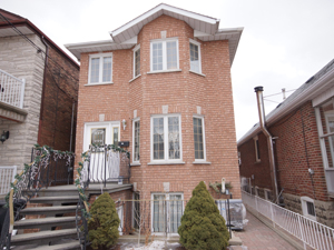 Image ViT 39590