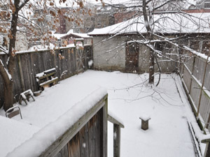 3+ Bedroom apartment for rent in TORONTO 