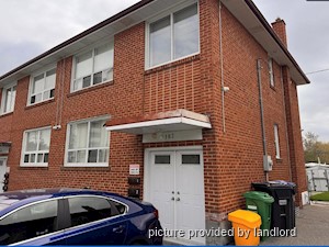 Image ViT 40853
