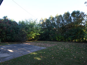 3+ Bedroom apartment for rent in Toronto