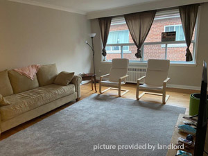 Image ViT 41214