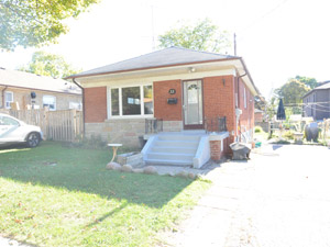 Image ViT 41866