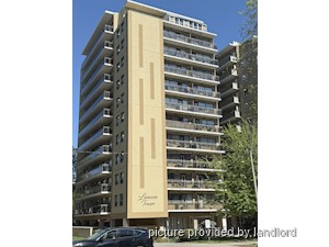 Image ViT 41913