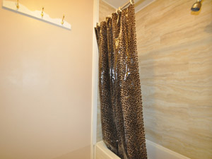 1 Bedroom apartment for rent in BRAMPTON