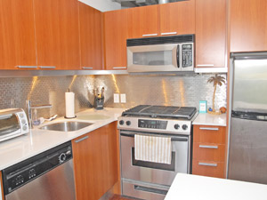 1 Bedroom apartment for rent in TORONTO  