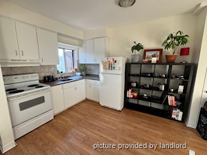 Image ViT 4527