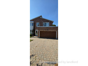 Image ViT 45384