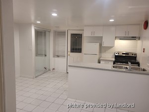 Image ViT 45807