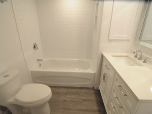 1 Bedroom apartment for rent in TORONTO