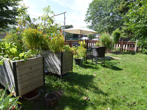 1 Bedroom apartment for rent in ETOBICOKE